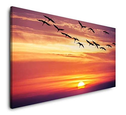 Paul Sinus Art Vögel im Sonnenuntergang 120x 60cm...