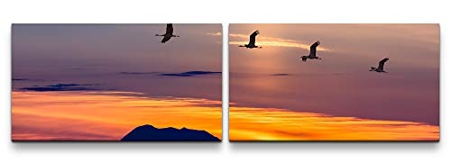 Paul Sinus Art Vögel in Landschaft 180x50cm - 2 Wandbilder je 50x90cm - Kunstdrucke - Wandbild - Leinwandbilder fertig auf Rahmen