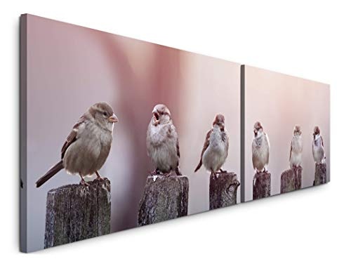 Paul Sinus Art Vögel auf Holzstämmen 180x50cm - 2 Wandbilder je 50x90cm - Kunstdrucke - Wandbild - Leinwandbilder fertig auf Rahmen