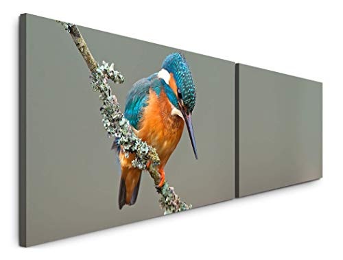 Paul Sinus Art Vogel 180x50cm - 2 Wandbilder je 50x90cm - Kunstdrucke - Wandbild - Leinwandbilder fertig auf Rahmen