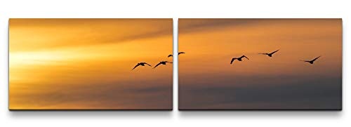 Paul Sinus Art Vögel im Himmel 180x50cm - 2 Wandbilder je 50x90cm - Kunstdrucke - Wandbild - Leinwandbilder fertig auf Rahmen