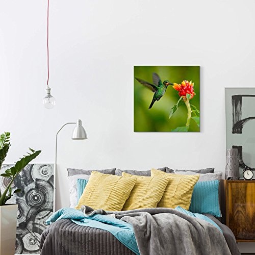 Paul Sinus Art Leinwandbilder | Bilder Leinwand 60x60cm Grünstirn-Brillantkolibri aus Costa Rica