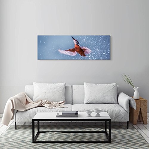 Paul Sinus Art Leinwandbilder | Bilder Leinwand 150x50cm Eisvogel im Wasser