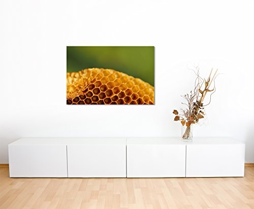 Paul Sinus Art Kunstfoto auf Leinwand 60x40cm Naturfotografie - Honigwabe auf Leinwand Exklusives Wandbild Moderne Fotografie für Ihre Wand in Vielen Größen