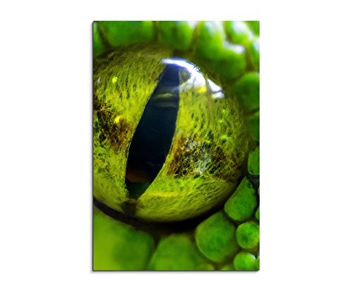 Fotoleinwand 90x60cm Tierfotografie - Detailaufnahme eines Auges der grünen Pythonschlange