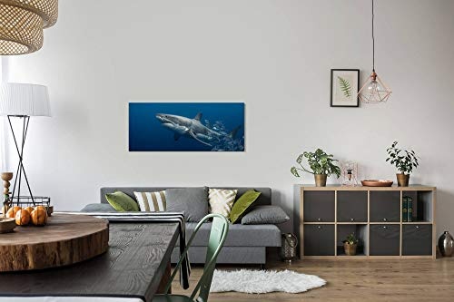Paul Sinus Art GmbH Hai Unterwasser 120x 50cm Panorama Leinwand Bild XXL Format Wandbilder Wohnzimmer Wohnung Deko Kunstdrucke