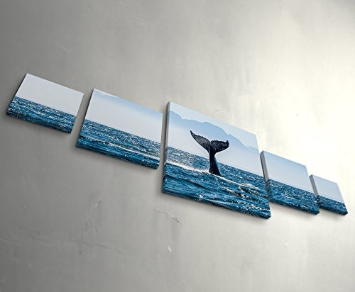 Paul Sinus Art Leinwandbilder | Bilder Leinwand 160x50cm Schwanzflosse Wal im Meer