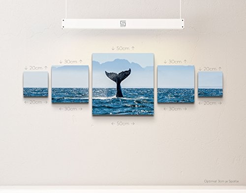 Paul Sinus Art Leinwandbilder | Bilder Leinwand 160x50cm Schwanzflosse Wal im Meer
