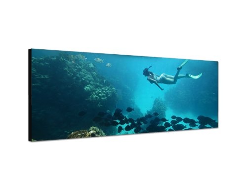 Panoramabild XXL auf Leinwand und Keilrahmen 180x70cm Meer Korallenriff Fische Taucherin Palmen