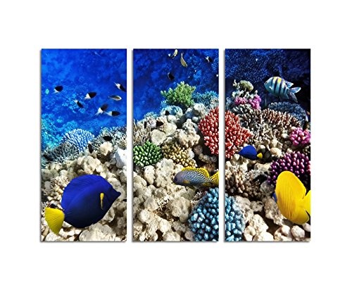 130x90cm - Keilrahmenbild Fische rotes Meer Korallen Unterwasser 3teiliges Wandbild auf Leinwand und Keilrahmen - Fotobild Kunstdruck Artprint