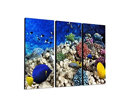 130x90cm - Keilrahmenbild Fische rotes Meer Korallen Unterwasser 3teiliges Wandbild auf Leinwand und Keilrahmen - Fotobild Kunstdruck Artprint