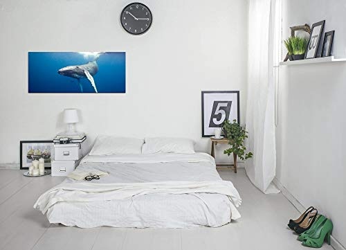 Paul Sinus Art GmbH Waal Unterwasser 120x 50cm Panorama Leinwand Bild XXL Format Wandbilder Wohnzimmer Wohnung Deko Kunstdrucke