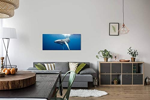 Paul Sinus Art GmbH Waal Unterwasser 120x 50cm Panorama Leinwand Bild XXL Format Wandbilder Wohnzimmer Wohnung Deko Kunstdrucke