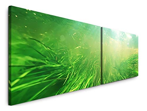 Paul Sinus Art Unterwasserlandschaft 180x50cm - 2 Wandbilder je 50x90cm - Kunstdrucke - Wandbild - Leinwandbilder fertig auf Rahmen