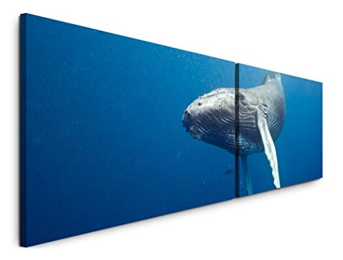 Paul Sinus Art Waal Unterwasser 180x50cm - 2 Wandbilder je 50x90cm - Kunstdrucke - Wandbild - Leinwandbilder fertig auf Rahmen