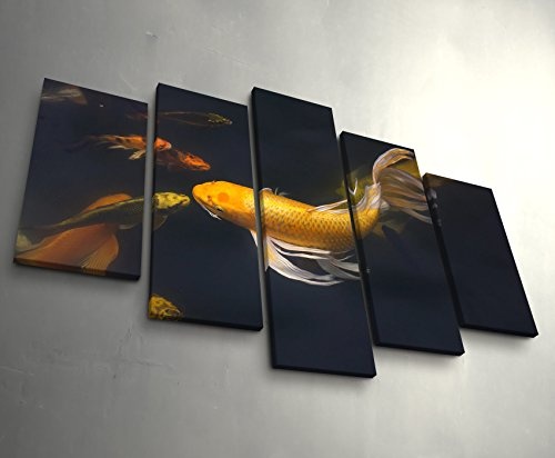 Paul Sinus Art Leinwandbilder | Bilder Leinwand 160x100cm schwimmende Koi