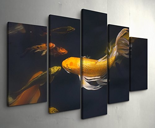 Paul Sinus Art Leinwandbilder | Bilder Leinwand 160x100cm schwimmende Koi