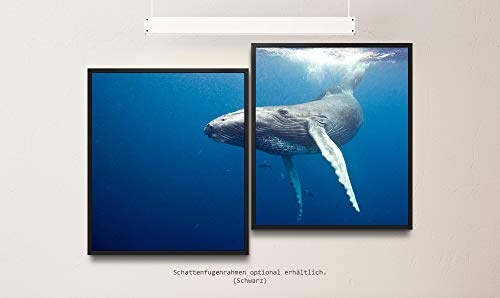 Paul Sinus Art Waal Unterwasser 130 x 90 cm (2 Bilder ca. 75x65cm) Leinwandbilder fertig im Schattenfugenrahmen SCHWARZ Kunstdruck XXL modern