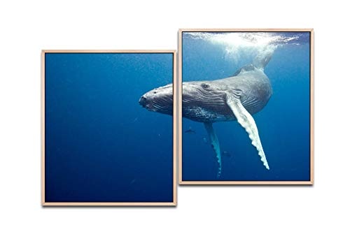 Paul Sinus Art Waal Unterwasser 130 x 90 cm (2 Bilder ca....