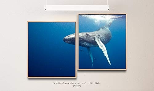 Paul Sinus Art Waal Unterwasser 130 x 90 cm (2 Bilder ca. 75x65cm) Leinwandbilder fertig im Schattenfugenrahmen Natur Kunstdruck XXL modern