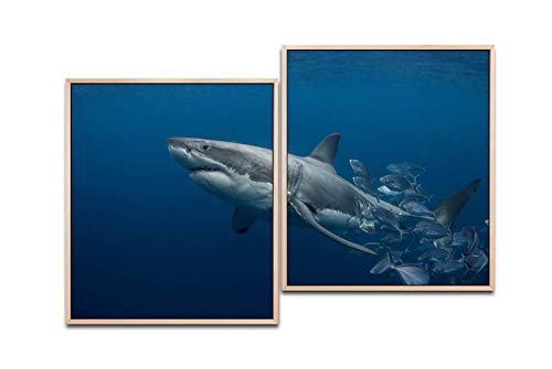 Paul Sinus Art Hai Unterwasser 130 x 90 cm (2 Bilder ca. 75x65cm) Leinwandbilder fertig im Schattenfugenrahmen Natur Kunstdruck XXL modern