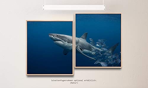 Paul Sinus Art Hai Unterwasser 130 x 90 cm (2 Bilder ca. 75x65cm) Leinwandbilder fertig im Schattenfugenrahmen Natur Kunstdruck XXL modern