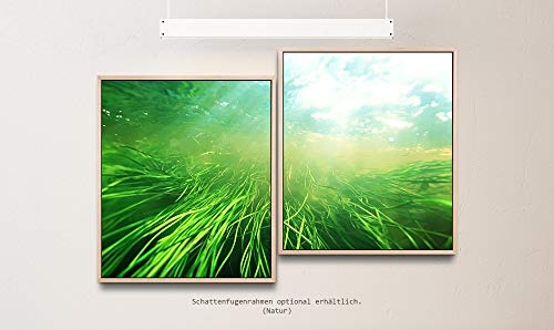 Paul Sinus Art Unterwasserlandschaft 130 x 90 cm (2 Bilder ca. 75x65cm) Leinwandbilder fertig im Schattenfugenrahmen Natur Kunstdruck XXL modern