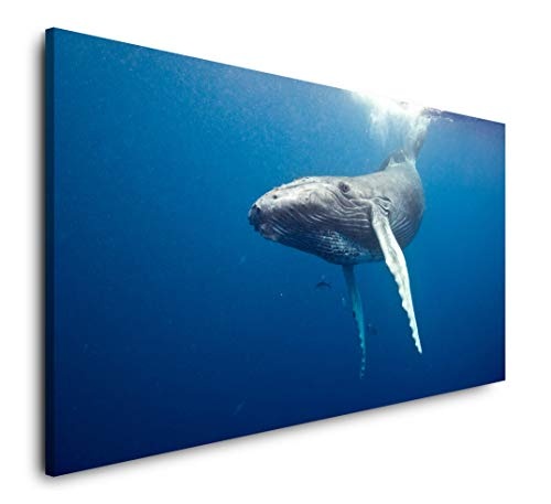 Paul Sinus Art Waal Unterwasser 120x 60cm Panorama...