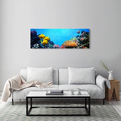 Paul Sinus Art Leinwandbilder | Bilder Leinwand 120x40cm Buntes Korallenriff