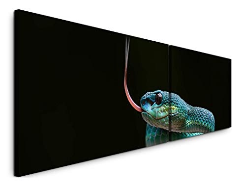 Paul Sinus Art Schlange 180x50cm - 2 Wandbilder je 50x90cm - Kunstdrucke - Wandbild - Leinwandbilder fertig auf Rahmen