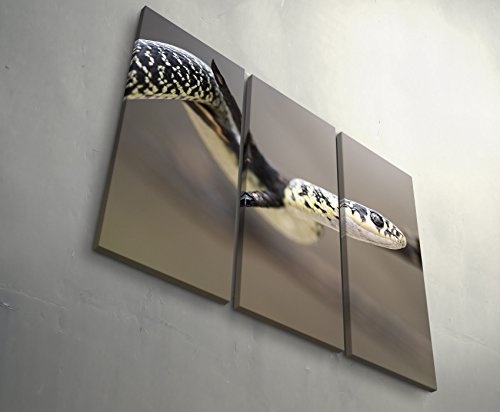 Paul Sinus Art Leinwandbilder | Bilder Leinwand 130x90cm Schlange - Nahaufnahme