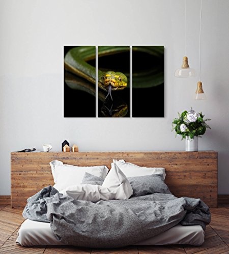 Paul Sinus Art Leinwandbilder | Bilder Leinwand 130x90cm grüne Baum Python