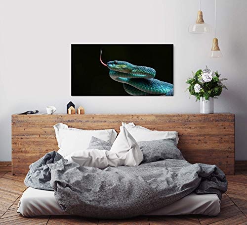 Schlange ca. 130x70cm Wandbild inklusive Schattenfugenrahmen naturfarbend - Panorama Leinwand Bild XXL Format Wandbilder Wohnzimmer Wohnung Deko Kunstdrucke