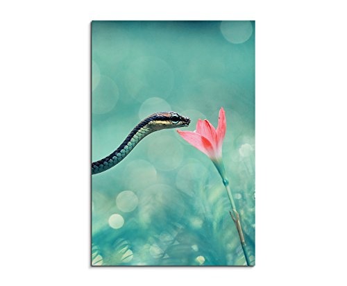 Fotoleinwand 90x60cm Tierfotografie - Kleine Schlange mit rosa Blume