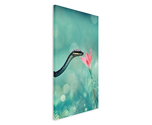 Fotoleinwand 90x60cm Tierfotografie - Kleine Schlange mit rosa Blume