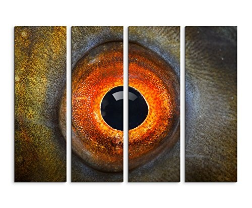 Fotoleinwand 4Teile je 90x30cm Tierfotografie - Detailaufnahme Auge der Schleie