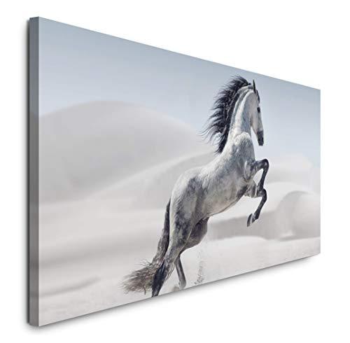 Paul Sinus Art GmbH Weißes Pferd 120x 50cm Panorama Leinwand Bild XXL Format Wandbilder Wohnzimmer Wohnung Deko Kunstdrucke