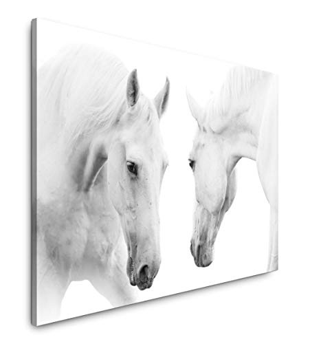 Paul Sinus Art Weiße Pferde 120x 80cm Inspirierende Fotokunst in Museums-Qualität für Ihr Zuhause als Wandbild auf Leinwand in