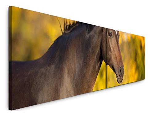 Paul Sinus Art Pferd im Herbst 180x50cm - 2 Wandbilder je...