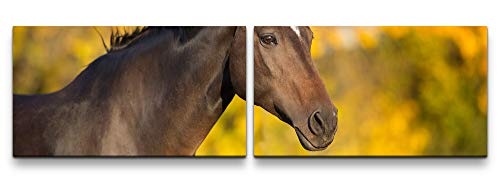 Paul Sinus Art Pferd im Herbst 180x50cm - 2 Wandbilder je 50x90cm - Kunstdrucke - Wandbild - Leinwandbilder fertig auf Rahmen