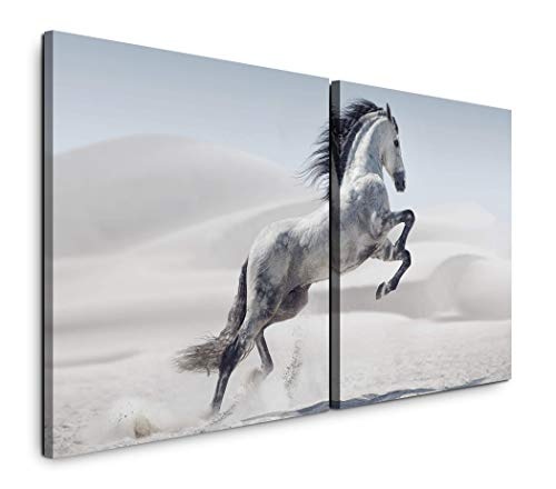 Paul Sinus Art GmbH Weißes Pferd 120x60cm - 2 Wandbilder je 60x60cm Kunstdruck modern Wandbilder XXL Wanddekoration Design Wand Bild