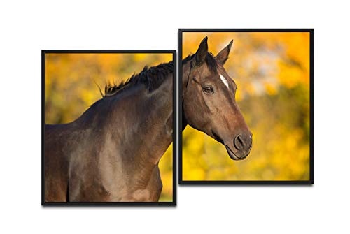 Paul Sinus Art Pferd im Herbst 130 x 90 cm (2 Bilder ca....