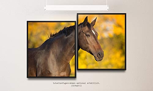 Paul Sinus Art Pferd im Herbst 130 x 90 cm (2 Bilder ca. 75x65cm) Leinwandbilder fertig im Schattenfugenrahmen SCHWARZ Kunstdruck XXL modern