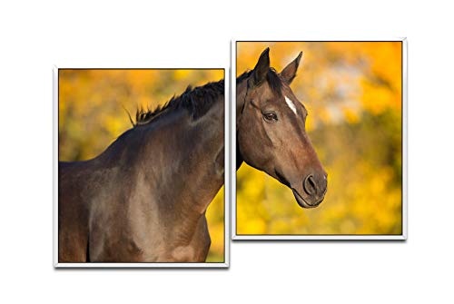 Paul Sinus Art Pferd im Herbst 130 x 90 cm (2 Bilder ca. 75x65cm) Leinwandbilder fertig im Schattenfugenrahmen Weiss Kunstdruck XXL modern