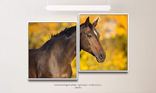 Paul Sinus Art Pferd im Herbst 130 x 90 cm (2 Bilder ca. 75x65cm) Leinwandbilder fertig im Schattenfugenrahmen Weiss Kunstdruck XXL modern