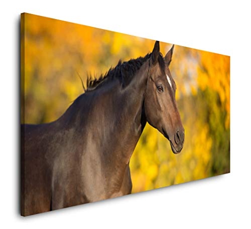 Paul Sinus Art Pferd im Herbst 120x 60cm Panorama Leinwand Bild XXL Format Wandbilder Wohnzimmer Wohnung Deko Kunstdrucke