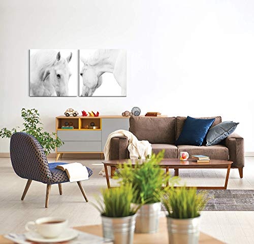 Paul Sinus Art GmbH Weiße Pferde 120x60cm - 2 Wandbilder je 60x60cm Kunstdruck modern Wandbilder XXL Wanddekoration Design Wand Bild