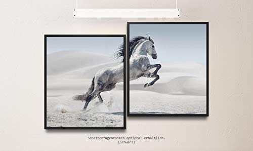Paul Sinus Art SCHWARZes Pferd 130 x 90 cm (2 Bilder ca. 75x65cm) Leinwandbilder fertig im Schattenfugenrahmen SCHWARZ Kunstdruck XXL modern