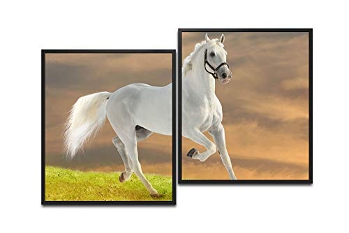 Paul Sinus Art SCHWARZes Pferd 130 x 90 cm (2 Bilder ca....