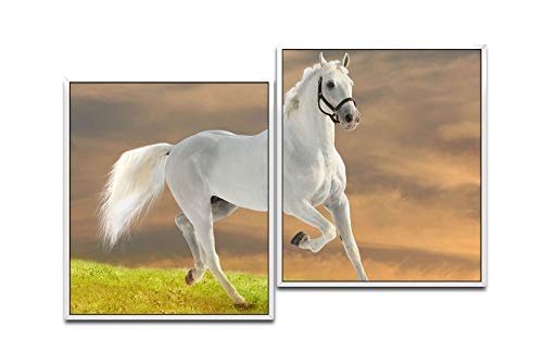 Paul Sinus Art Weißes Pferd 130 x 90 cm (2 Bilder...